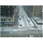 Snow from my office window 1.jpg
